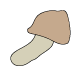 Shiitake Mushroom  Illustration