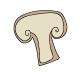 Shiitake Mushroom Illustration